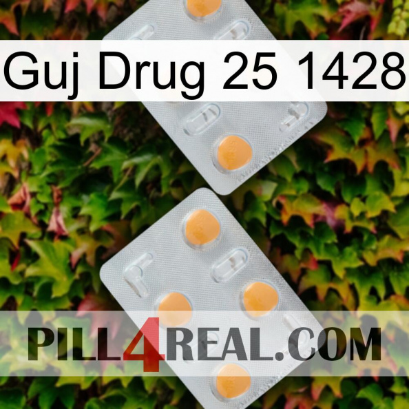 Guj Drug 25 1428 25.jpg